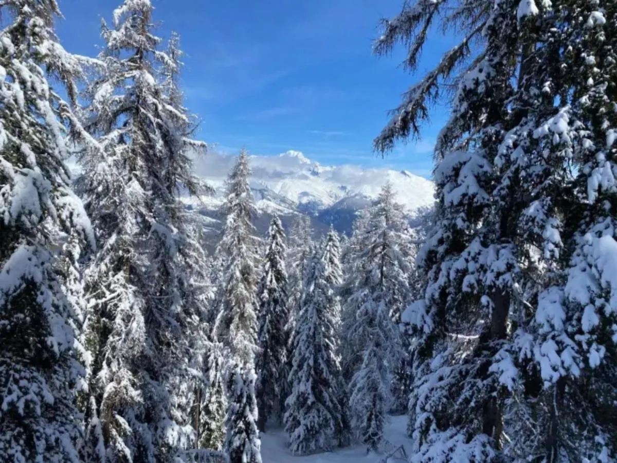 L'Edelweiss Apartment La Plagne-Tarentaise